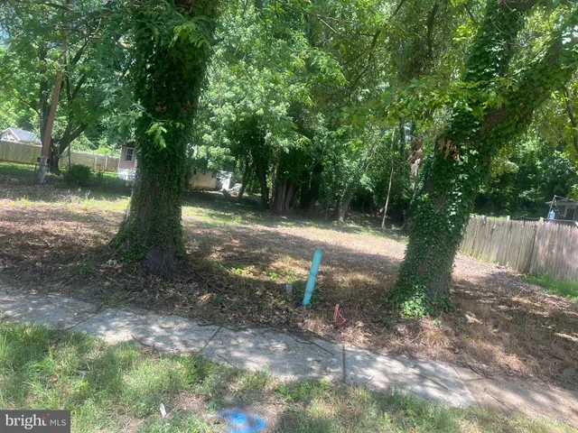 a view of a tree in the middle of a yard