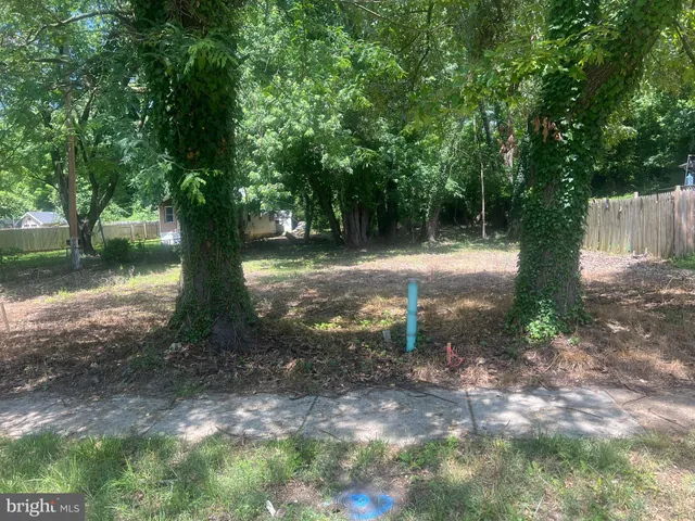 a view of a tree in the middle of a yard