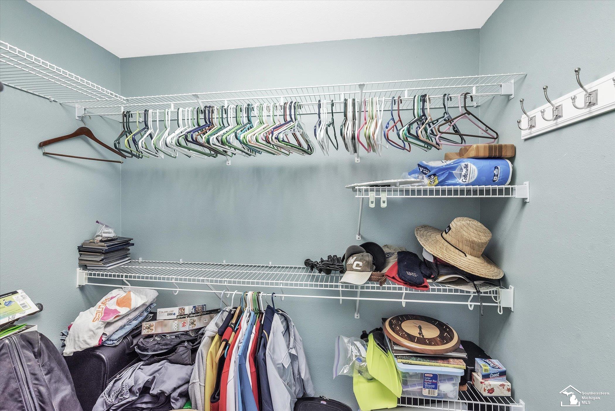7535 Summerfield Road Petersburg, MI 49270 - Photo 35 of 84 Walk in closets