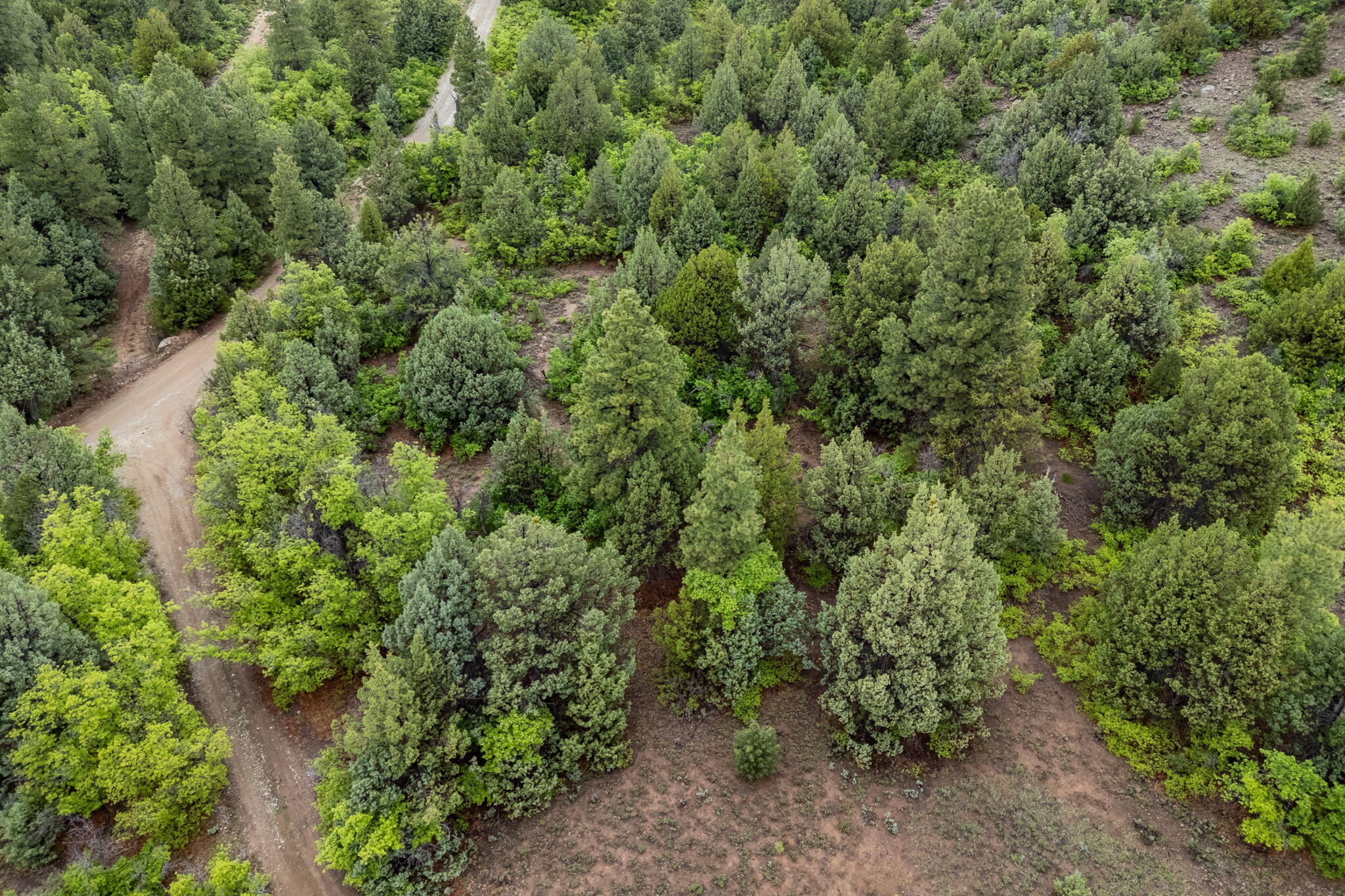 2657 East Oak Tree Trail, Unit 22 Springdale, UT 84767 - Photo 6 of 15 6-web-or-mls-Oak Tree Lot - www.aspencre