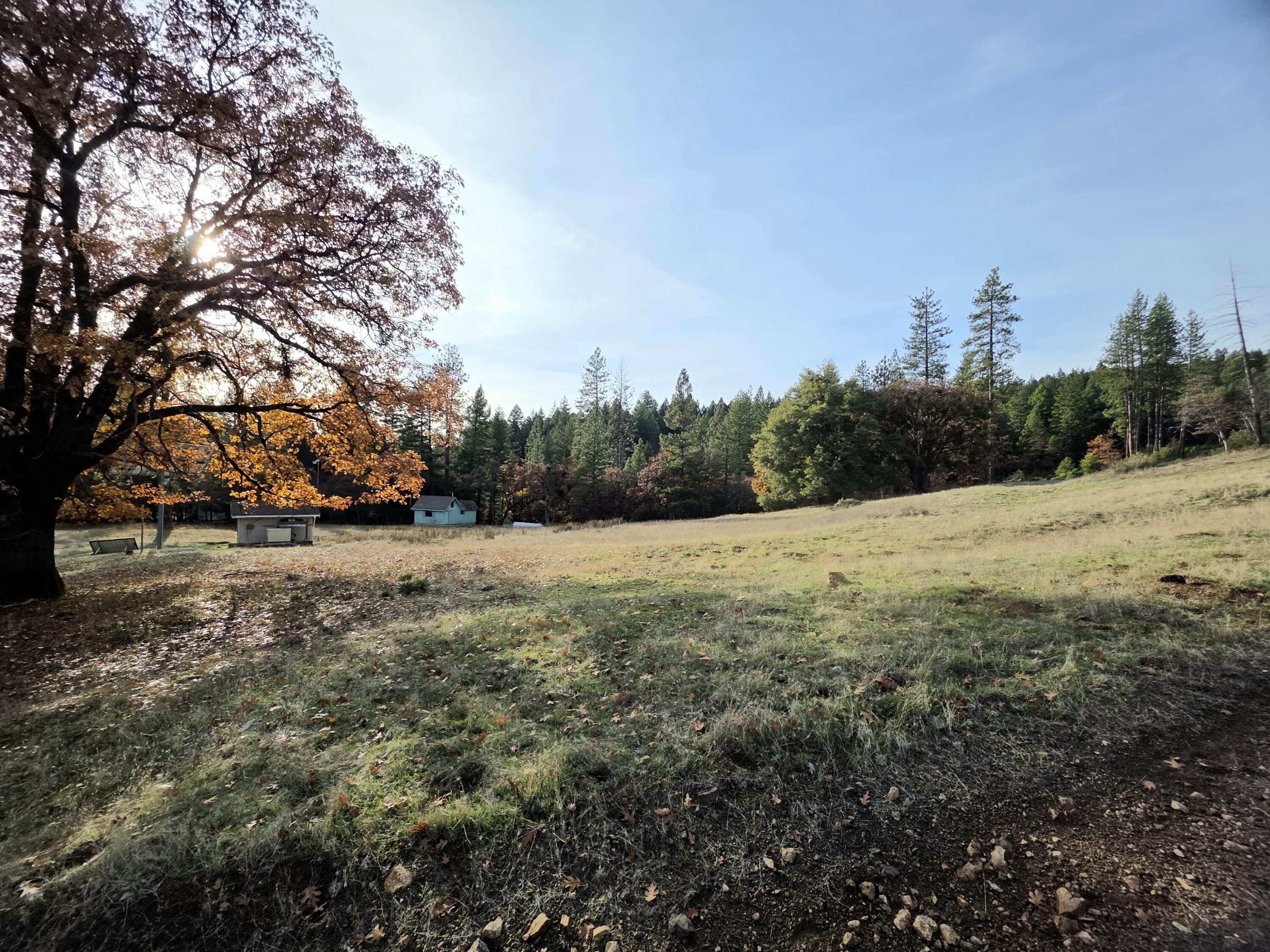 4000 Fs Road Hyampom, CA 96046 - Photo 4 of 83