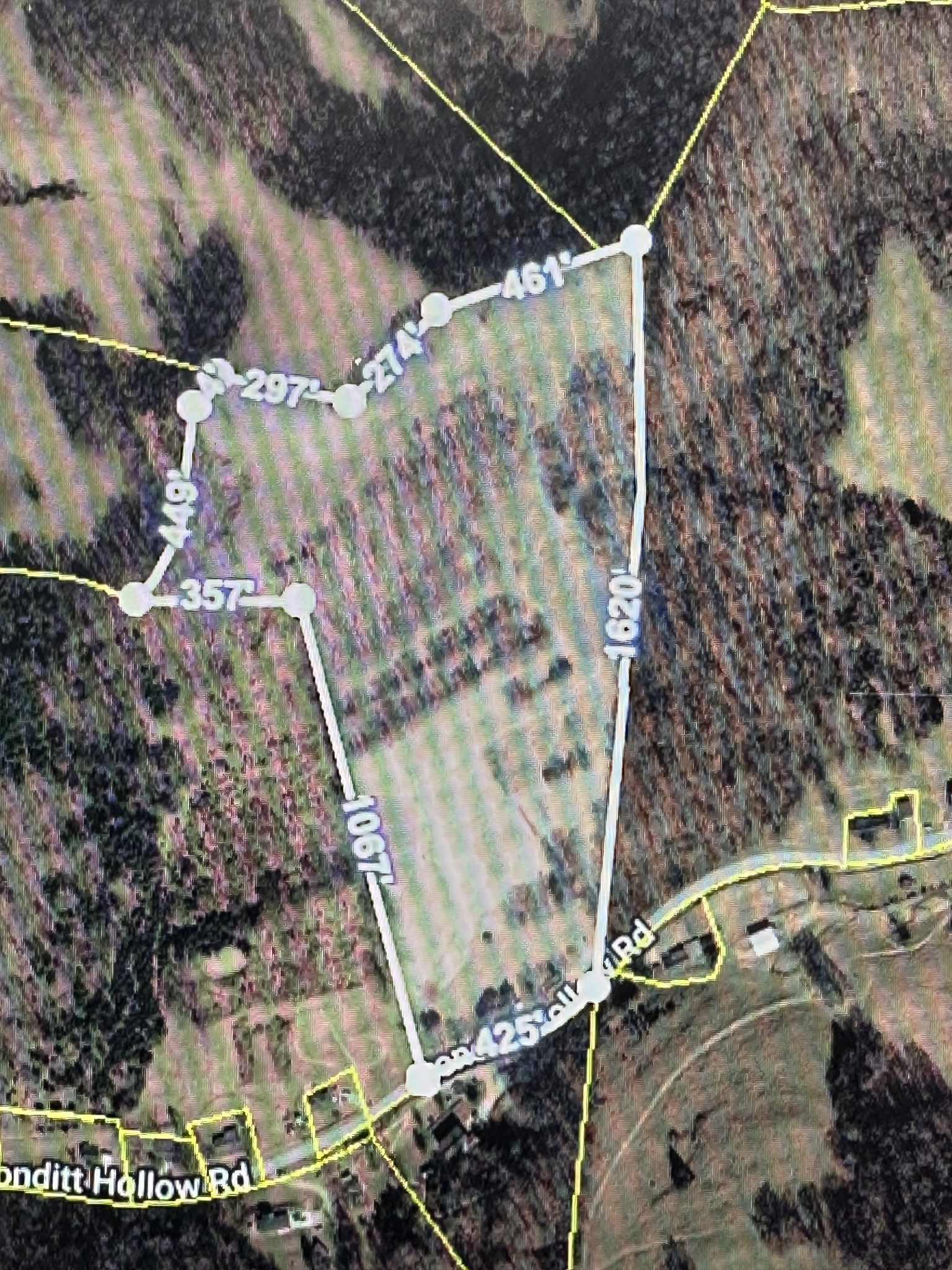 89 Conditt Hollow Road Elmwood, TN 38560 - Photo 38 of 38 Gallery Image 38