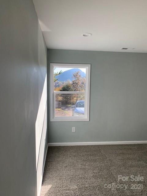 948 Rock House Road Marion, NC 28752 - Photo 11 of 46 Gallery Image 11