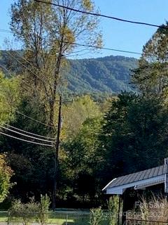 948 Rock House Road Marion, NC 28752 - Photo 32 of 46 Gallery Image 32