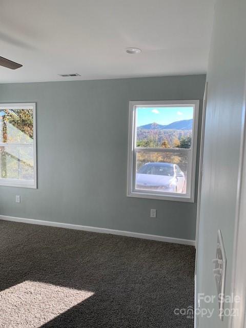 948 Rock House Road Marion, NC 28752 - Photo 10 of 46 Gallery Image 10