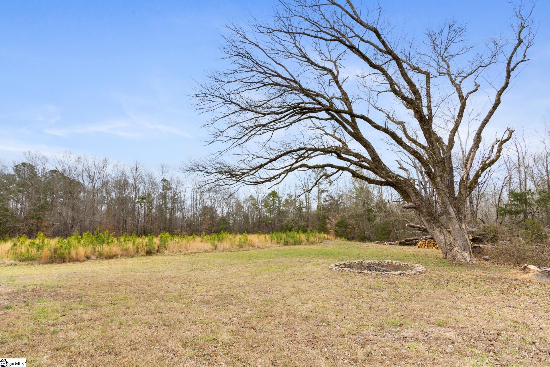 7709 Neely Ferry Road Laurens, SC 29360 - Photo 36 of 47
