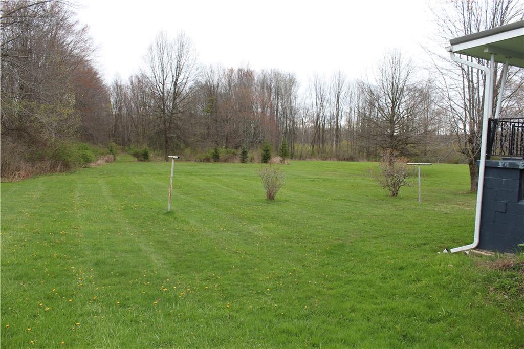1287 Franklin Road Jackson Center, PA 16133 - Photo 19 of 21 a big yard with lots of green space and trees