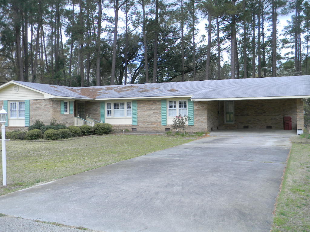 206 Crooked Creek Road Hampton, SC 29924 - Photo 1 of 17 DSCN6190