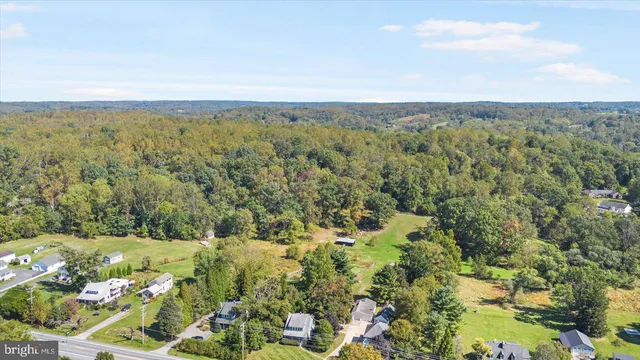 an aerial view of forest