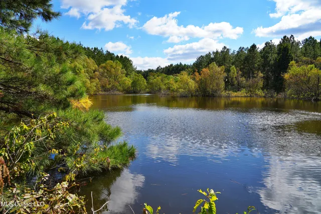 $1,039,500 | 2093 Mallalieu Drive, Ruth, MS 39662