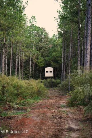 $1,039,500 | 2093 Mallalieu Drive, Ruth, MS 39662