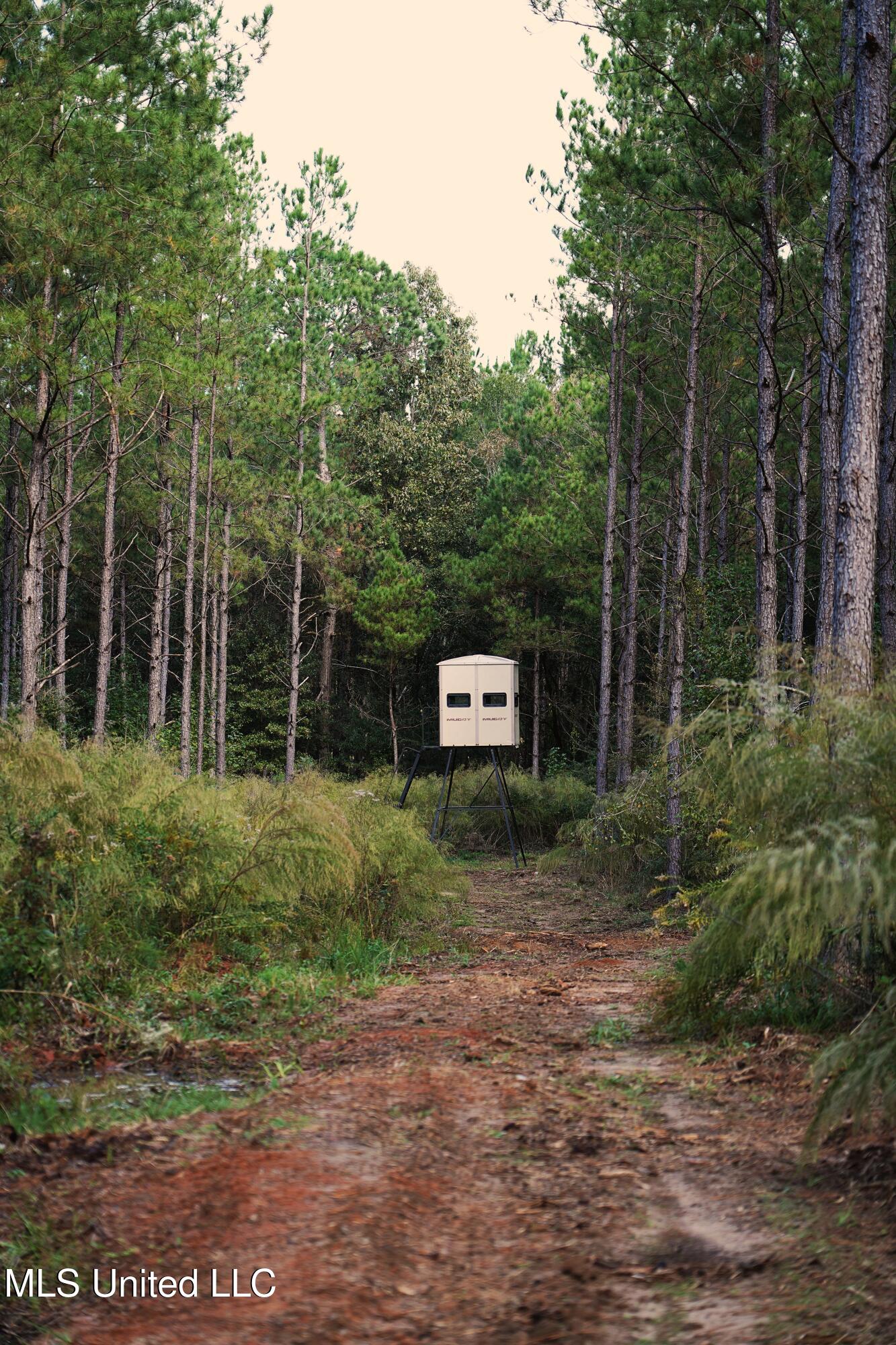 2093 Mallalieu Drive Ruth, MS 39662 - Photo 14 of 35 DSC00120