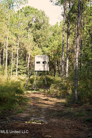 $1,039,500 | 2093 Mallalieu Drive, Ruth, MS 39662