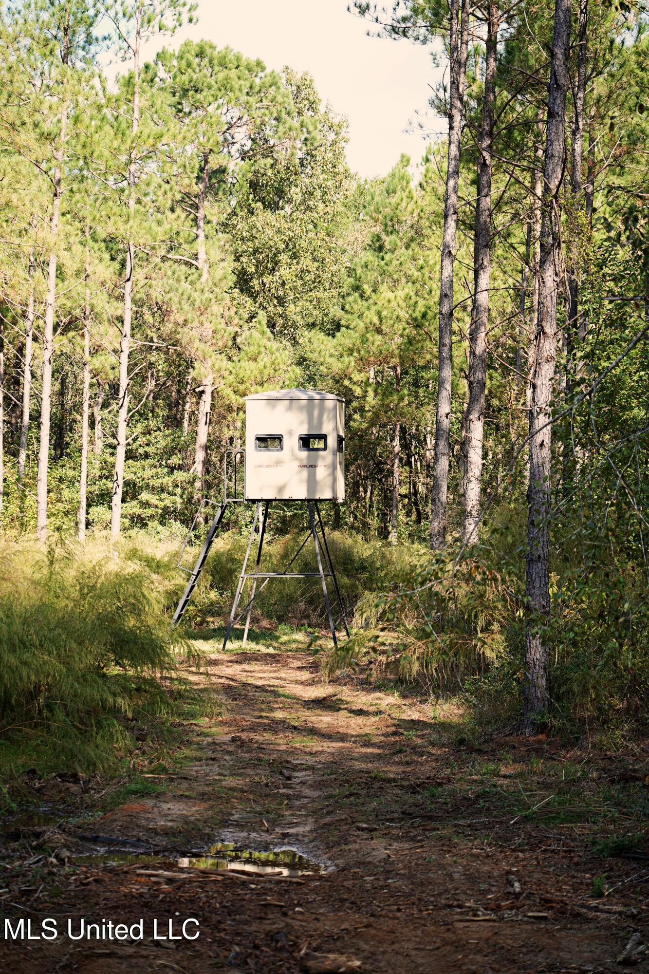 2093 Mallalieu Drive Ruth, MS 39662 - Photo 16 of 35 DSC00125