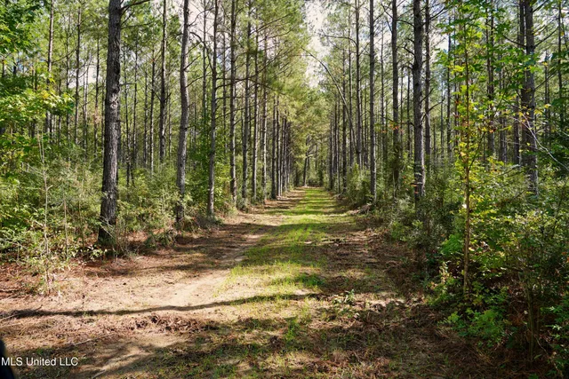 $1,039,500 | 2093 Mallalieu Drive, Ruth, MS 39662