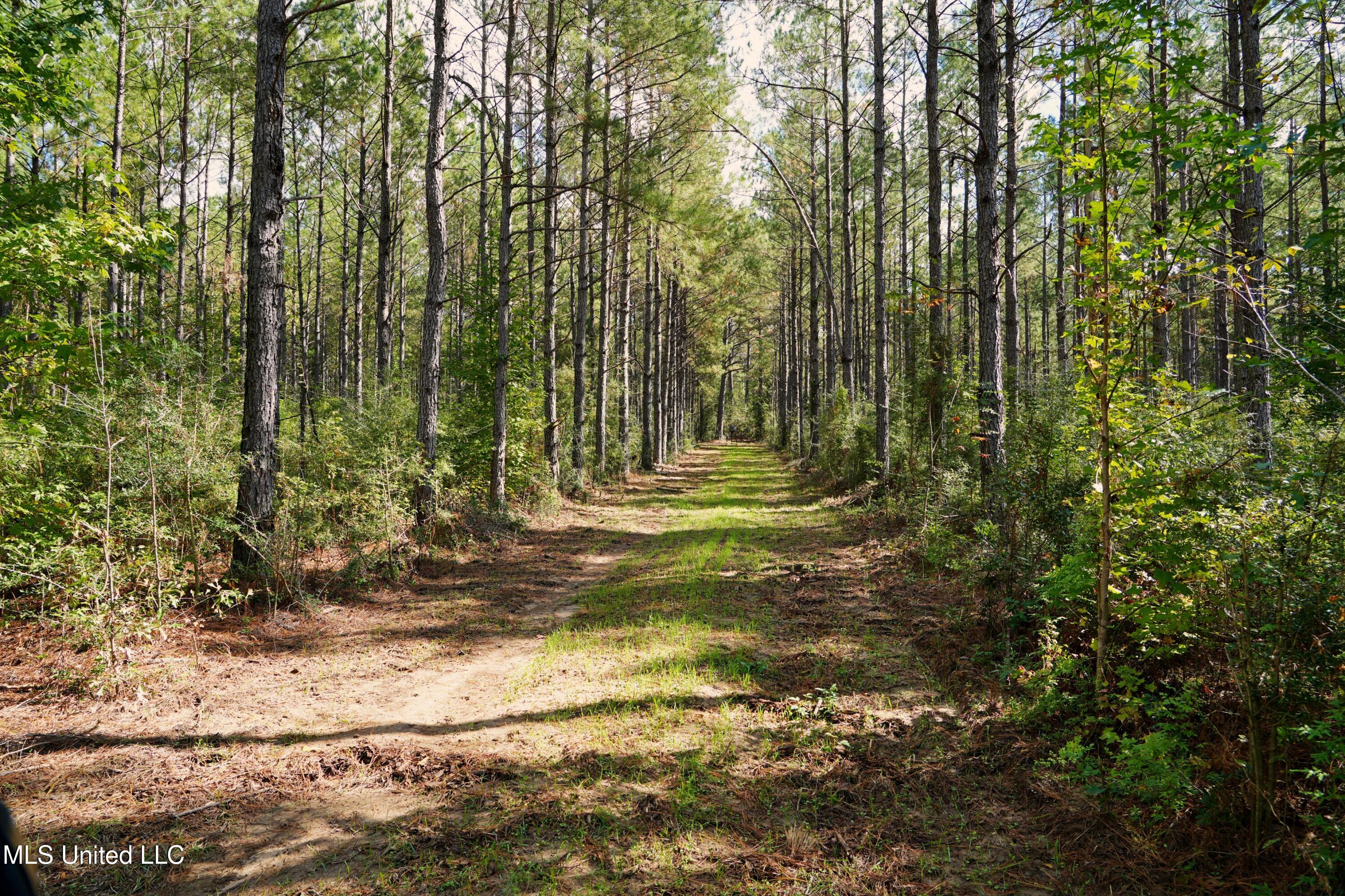 2093 Mallalieu Drive Ruth, MS 39662 - Photo 18 of 35 DSC00131