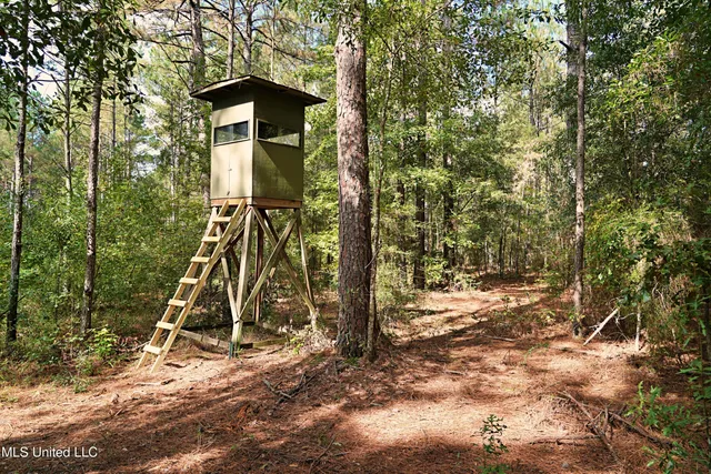 $1,039,500 | 2093 Mallalieu Drive, Ruth, MS 39662