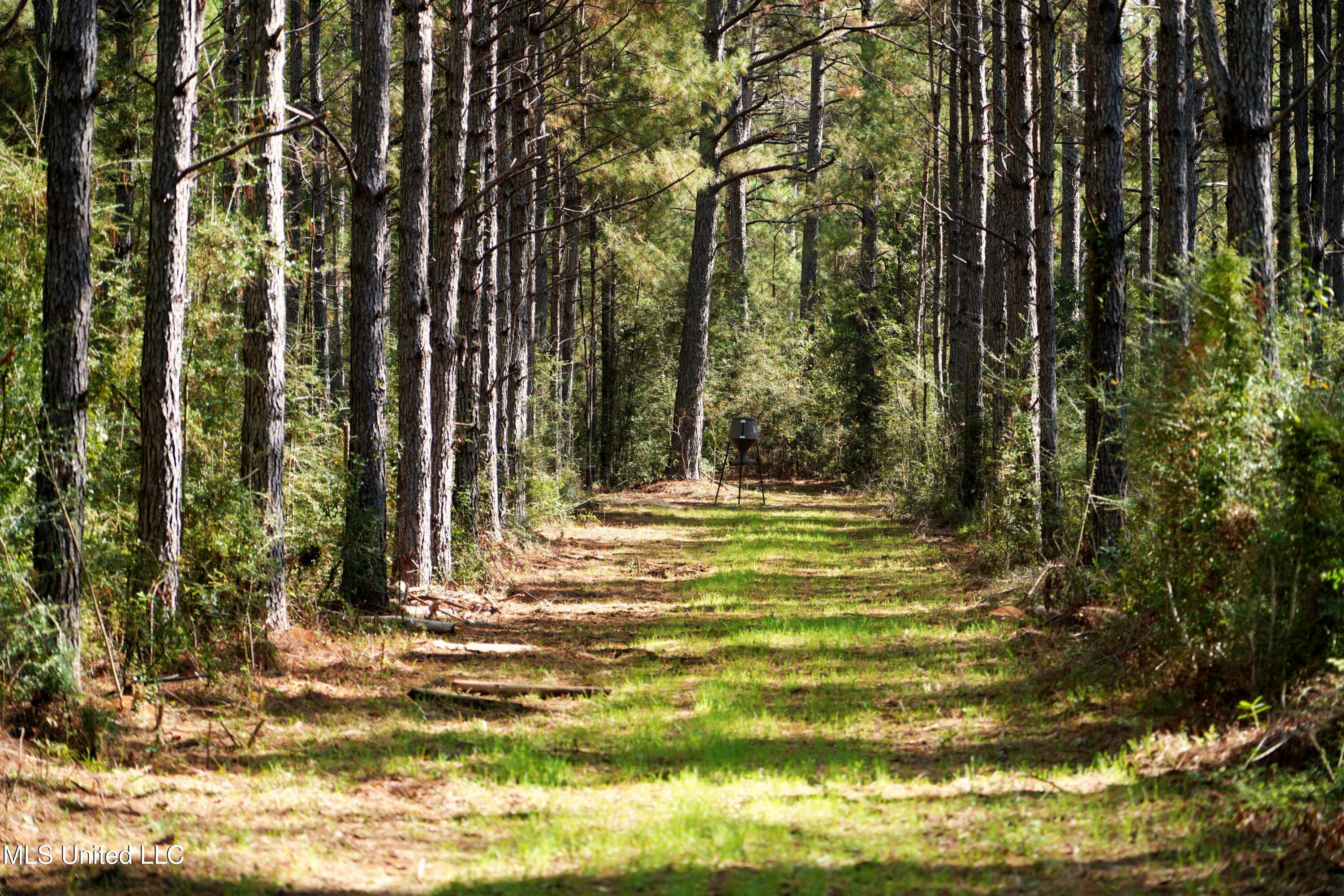 2093 Mallalieu Drive Ruth, MS 39662 - Photo 19 of 35 DSC00132