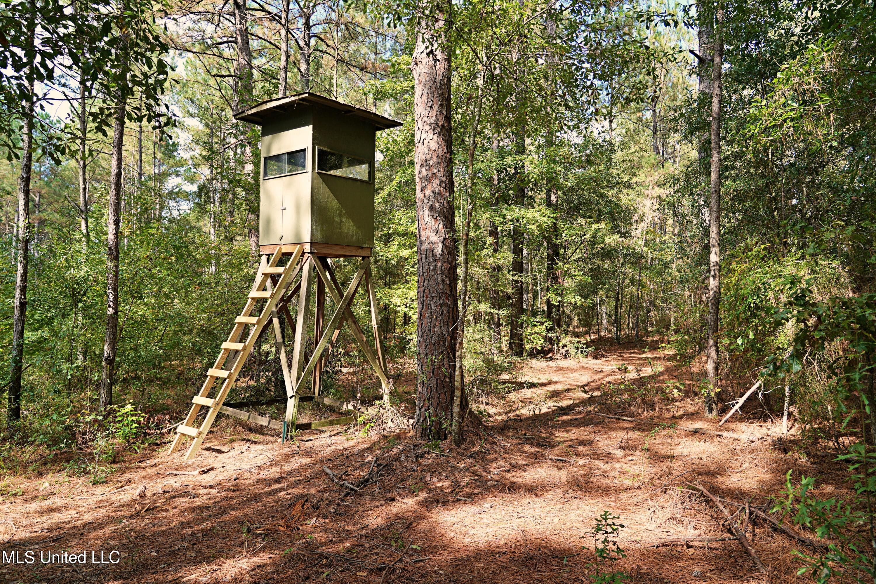 2093 Mallalieu Drive Ruth, MS 39662 - Photo 20 of 35 DSC00140