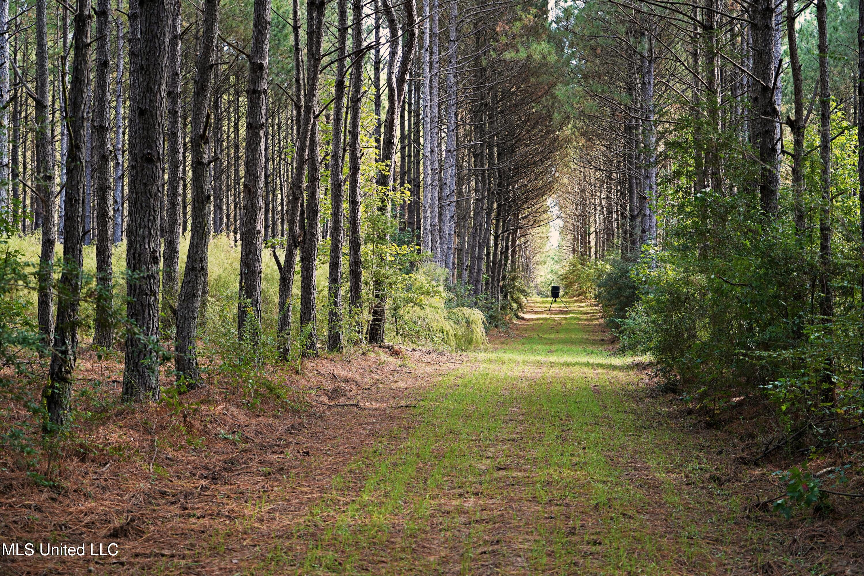 2093 Mallalieu Drive Ruth, MS 39662 - Photo 20 of 35 DSC00146