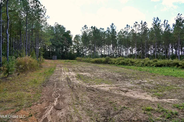 $1,039,500 | 2093 Mallalieu Drive, Ruth, MS 39662