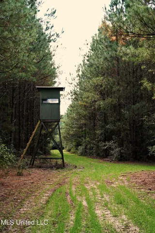 $1,039,500 | 2093 Mallalieu Drive, Ruth, MS 39662