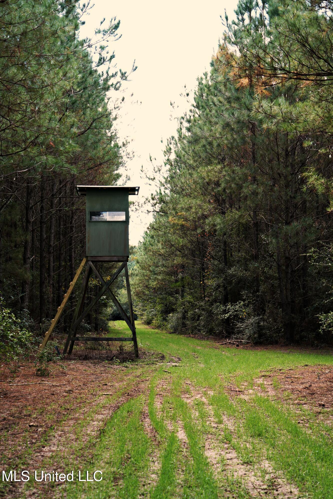 2093 Mallalieu Drive Ruth, MS 39662 - Photo 23 of 35 DSC00168