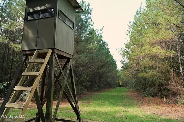 $1,039,500 | 2093 Mallalieu Drive, Ruth, MS 39662