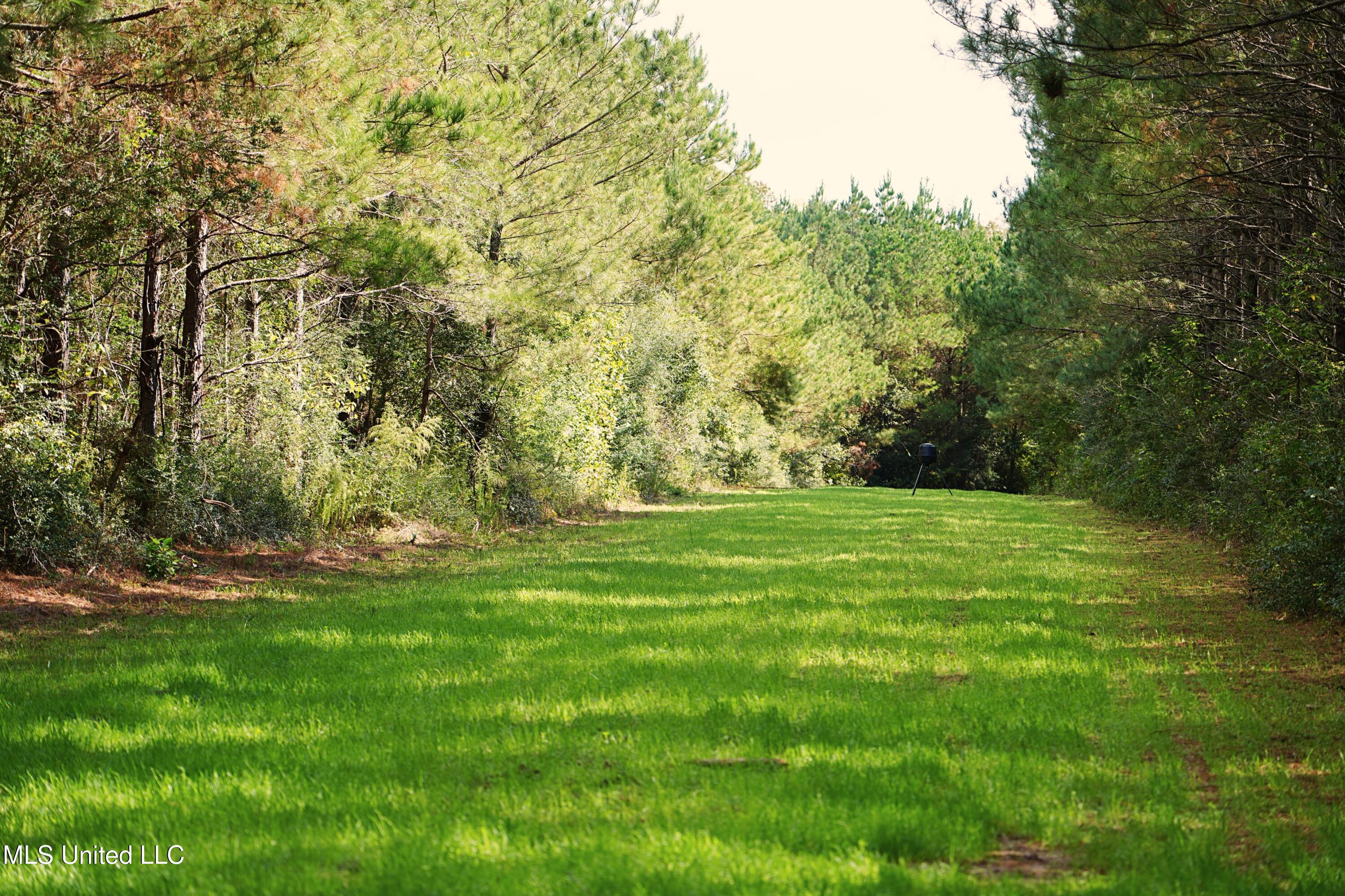 2093 Mallalieu Drive Ruth, MS 39662 - Photo 25 of 35 DSC00176