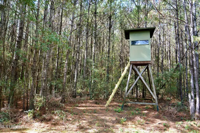 $1,039,500 | 2093 Mallalieu Drive, Ruth, MS 39662