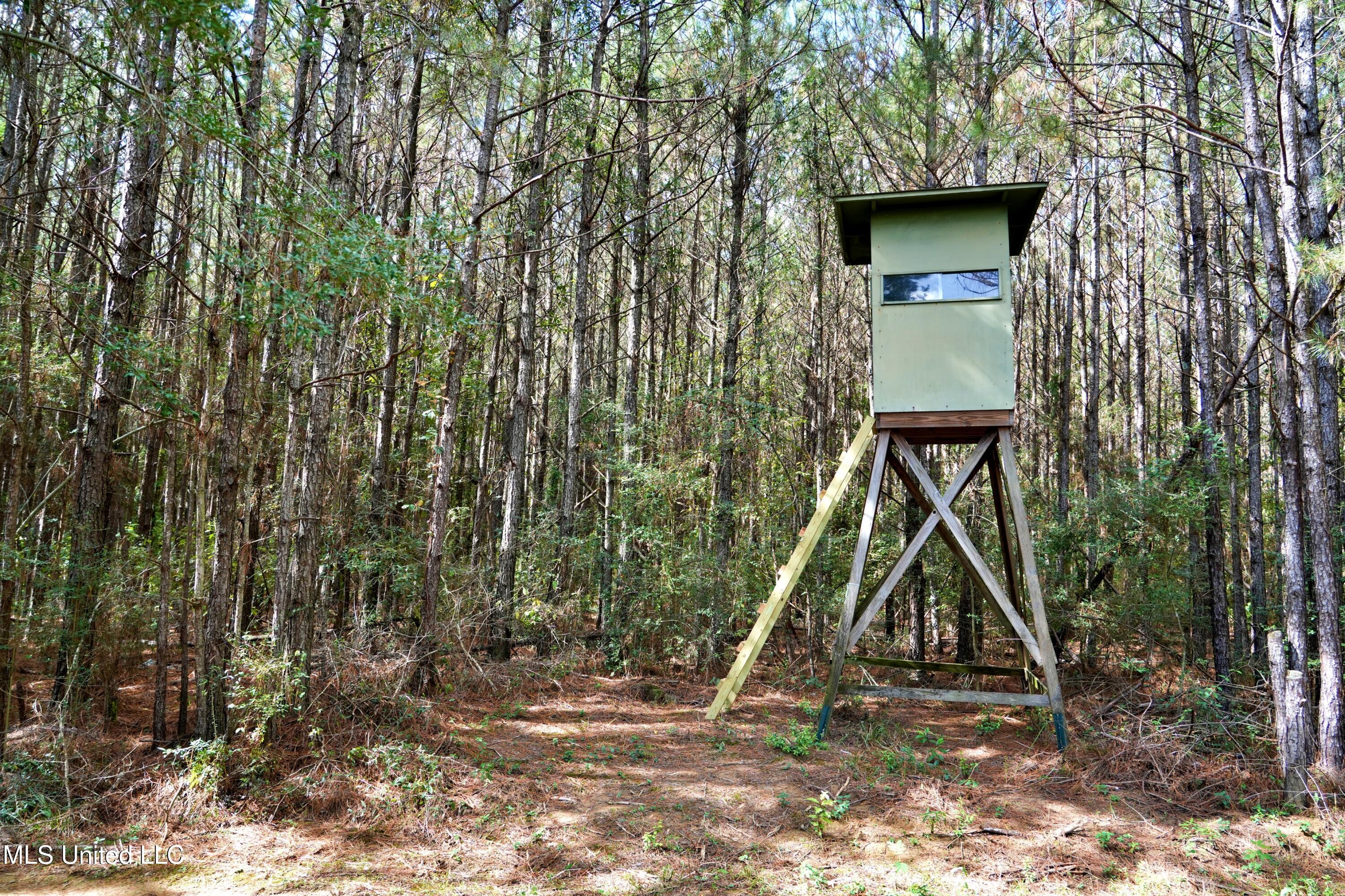 2093 Mallalieu Drive Ruth, MS 39662 - Photo 26 of 35 DSC00179