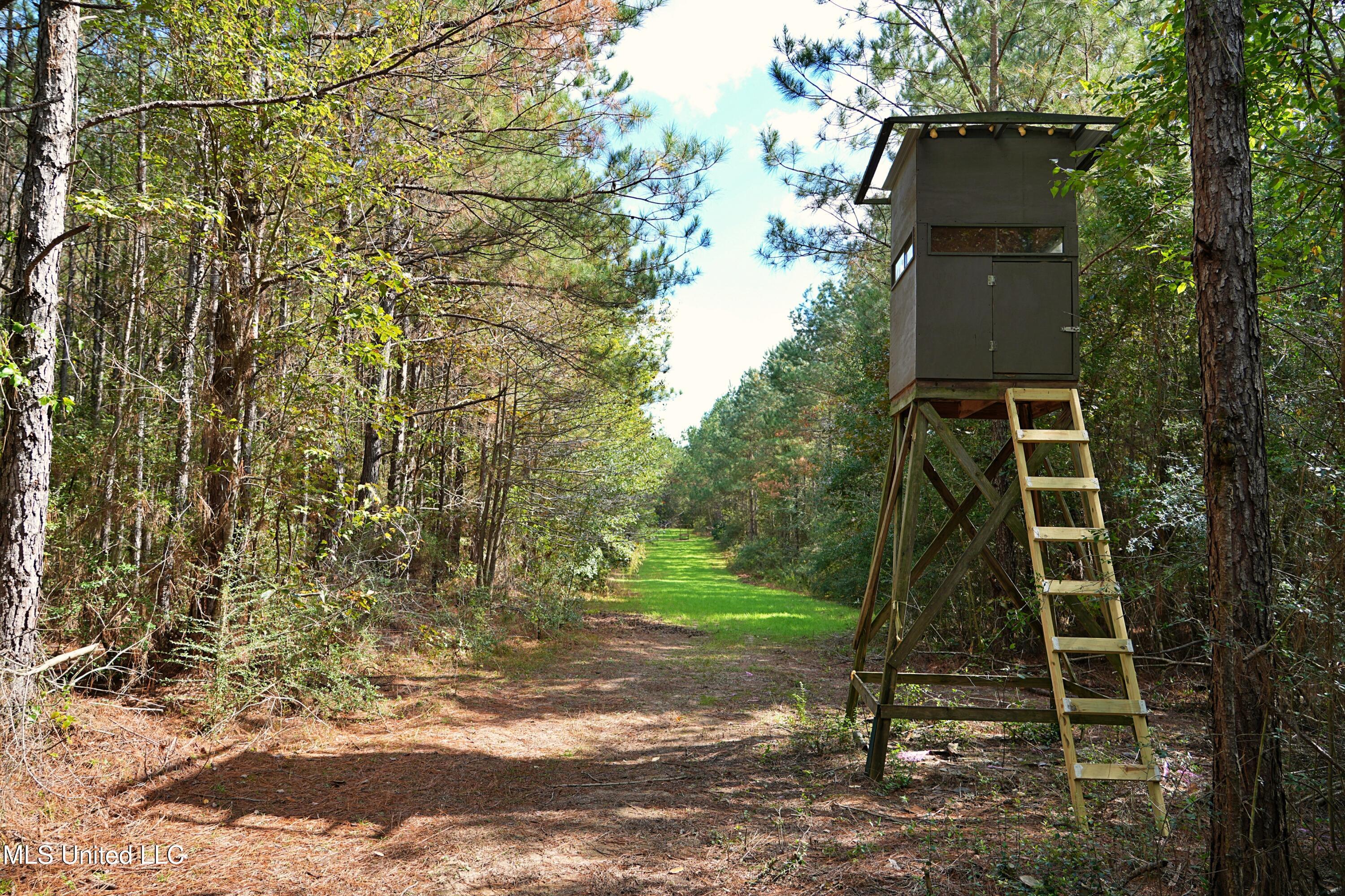 2093 Mallalieu Drive Ruth, MS 39662 - Photo 27 of 35 DSC00184