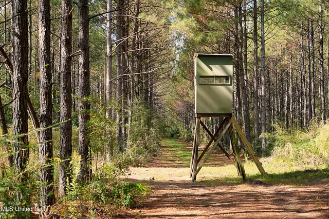 $1,039,500 | 2093 Mallalieu Drive, Ruth, MS 39662