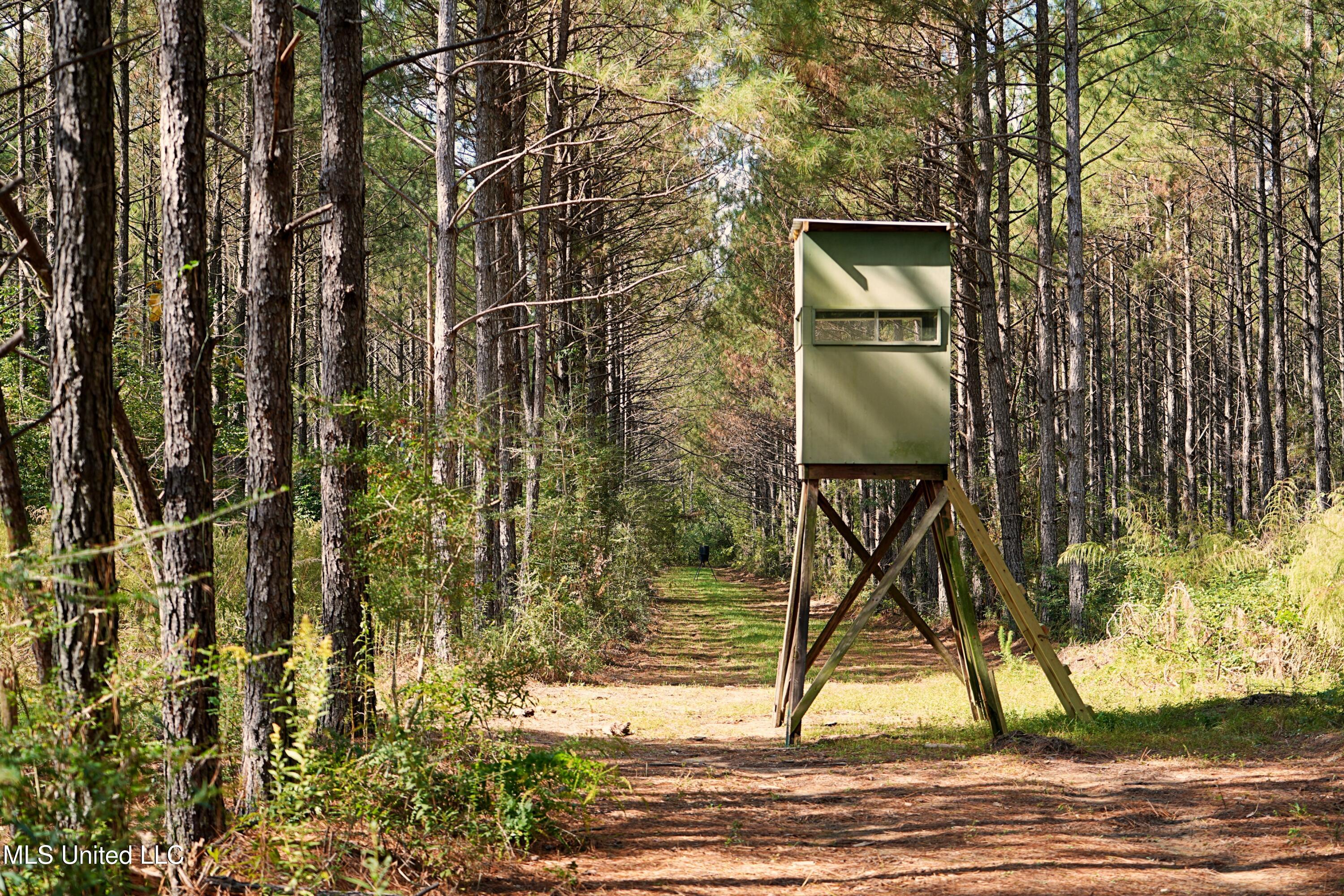 2093 Mallalieu Drive Ruth, MS 39662 - Photo 28 of 35 DSC00186