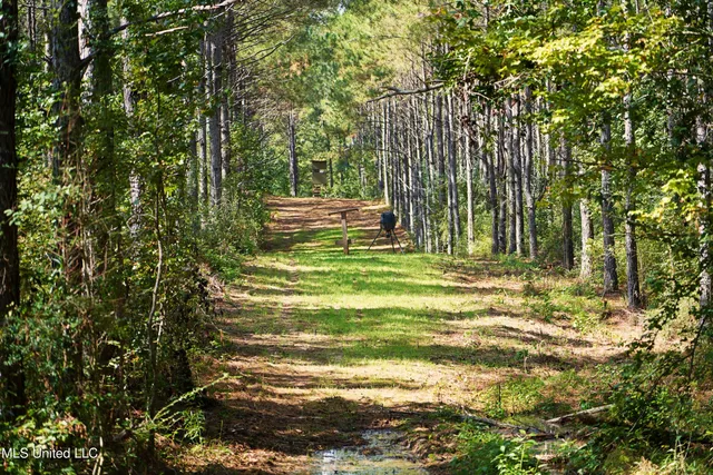 $1,039,500 | 2093 Mallalieu Drive, Ruth, MS 39662