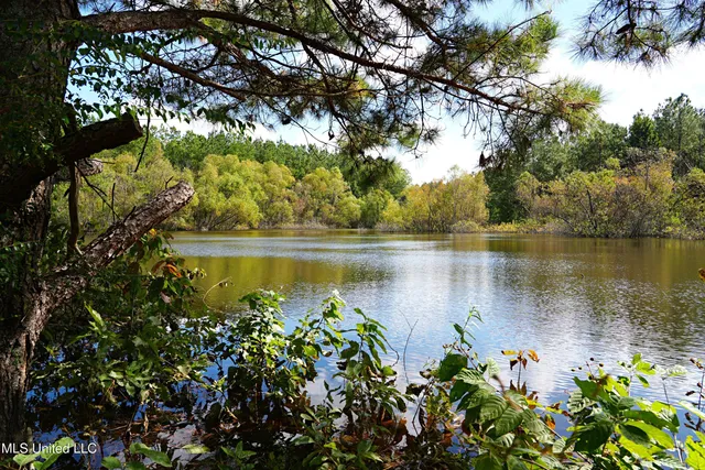 $1,039,500 | 2093 Mallalieu Drive, Ruth, MS 39662