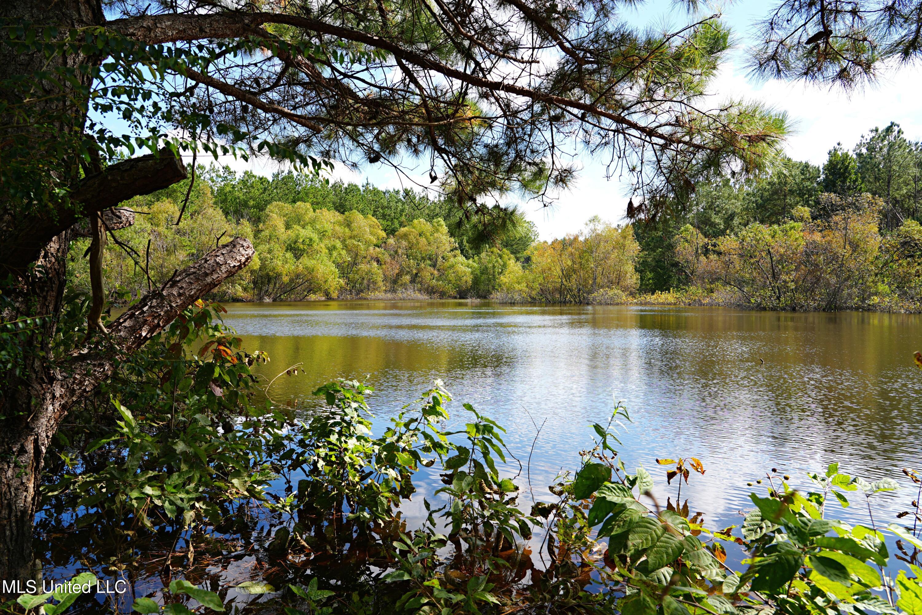 2093 Mallalieu Drive Ruth, MS 39662 - Photo 30 of 35 DSC00192