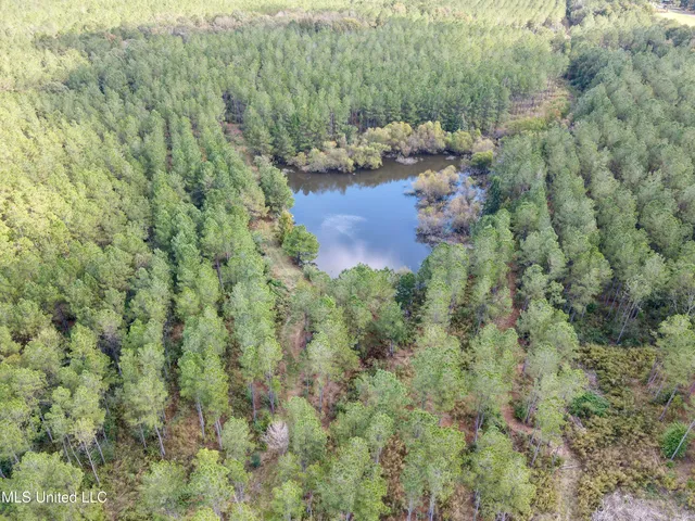 $1,039,500 | 2093 Mallalieu Drive, Ruth, MS 39662