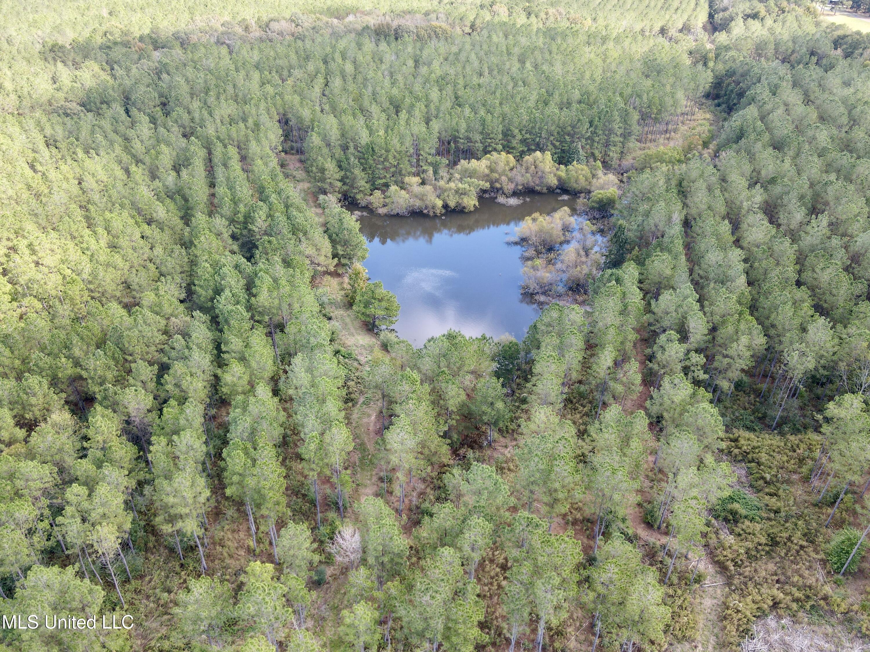 2093 Mallalieu Drive Ruth, MS 39662 - Photo 31 of 35 dji_fly_20251030_122240_391_176243004386