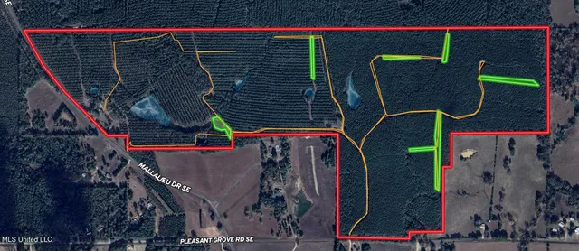 $1,039,500 | 2093 Mallalieu Drive, Ruth, MS 39662