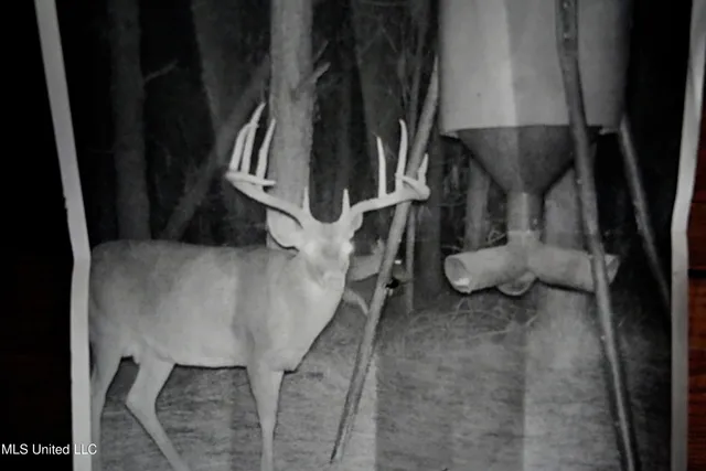 $1,039,500 | 2093 Mallalieu Drive, Ruth, MS 39662