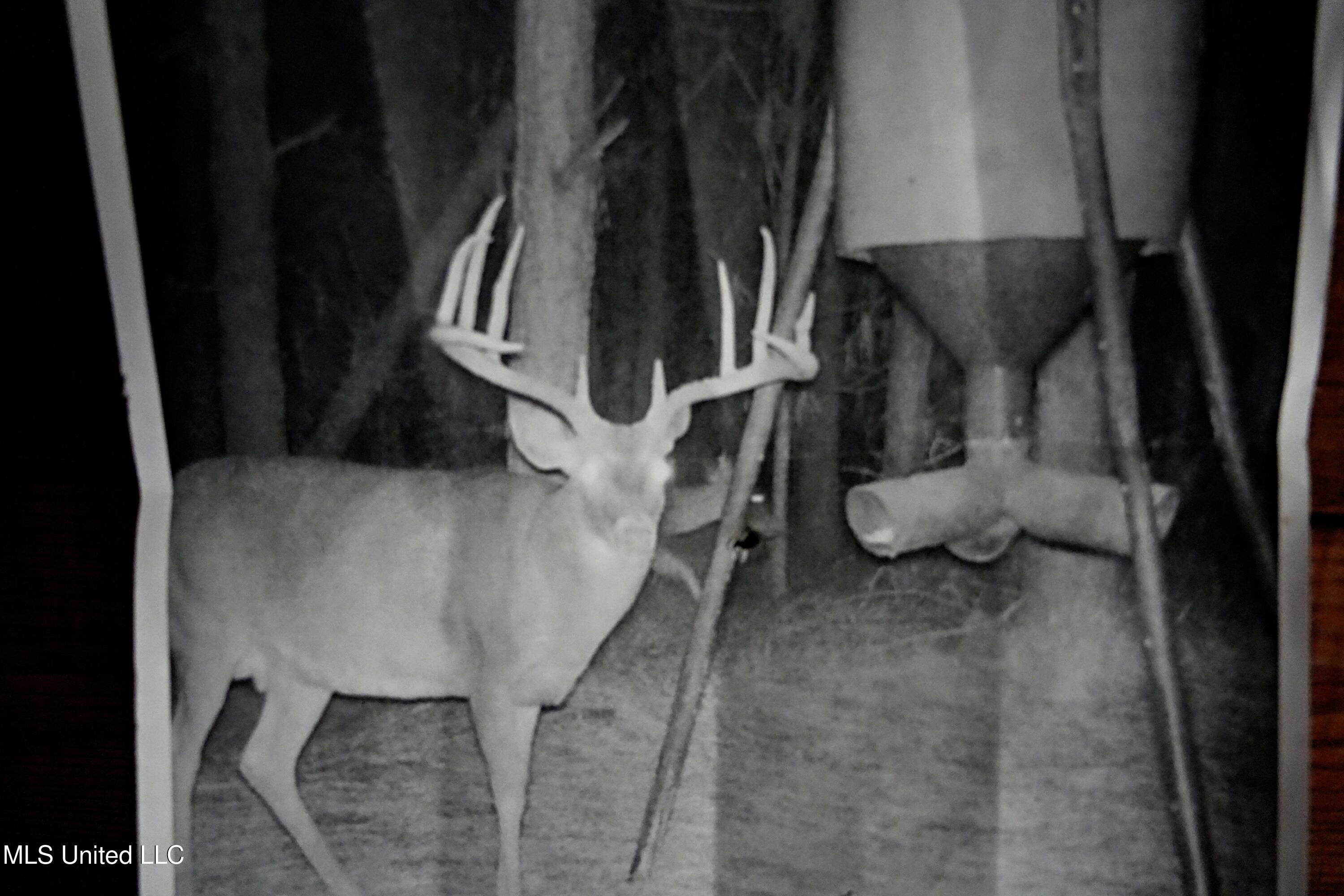 2093 Mallalieu Drive Ruth, MS 39662 - Photo 5 of 35 DSC00097