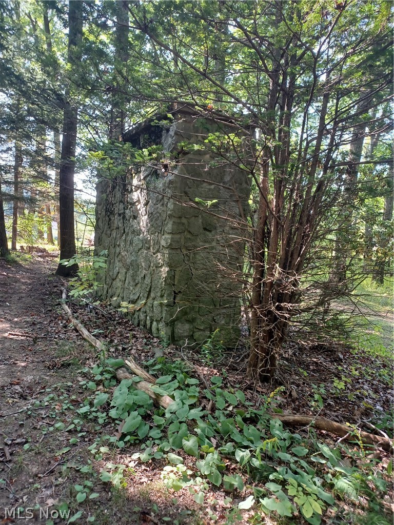 695 South Hubbard Road Lowellville, OH 44436 - Photo 4 of 5 View of side of Grotto