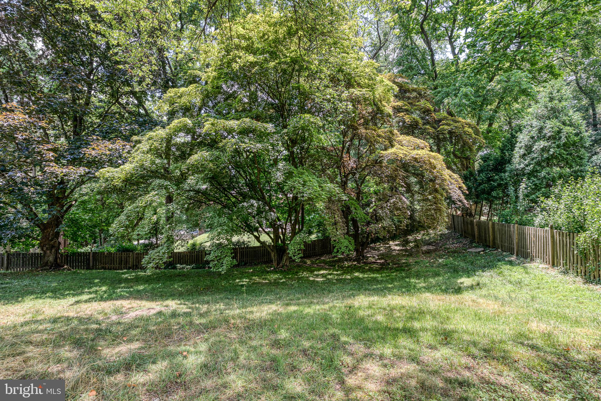 732 Conshohocken State Road Narberth, PA 19072 - Photo 46 of 46