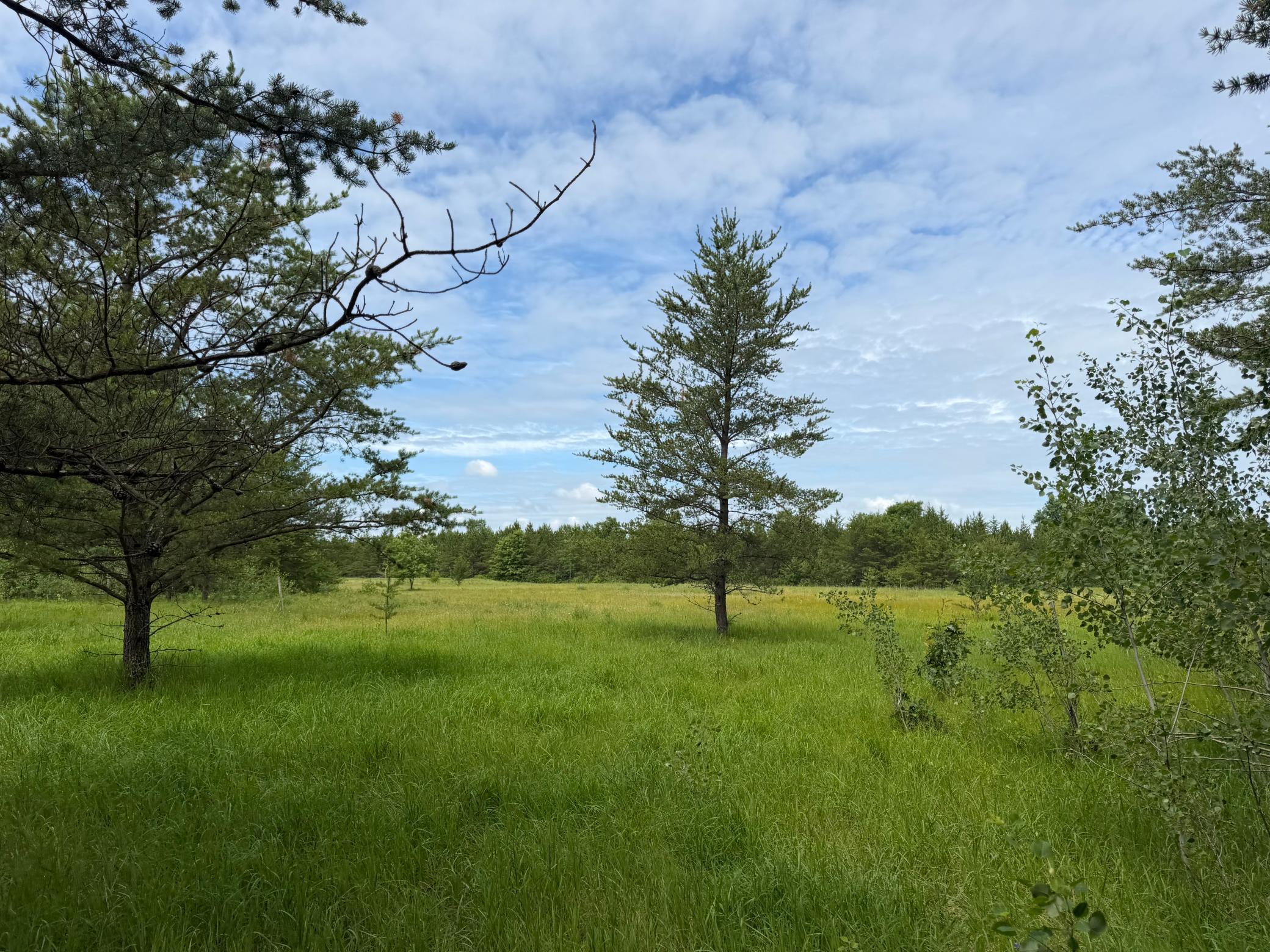 Tbd 350th Street Sebeka, MN 56477 - Photo 55 of 100
