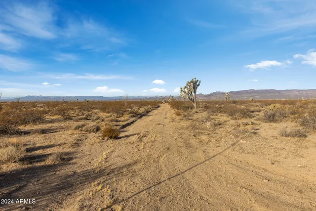 a view of a city with green space