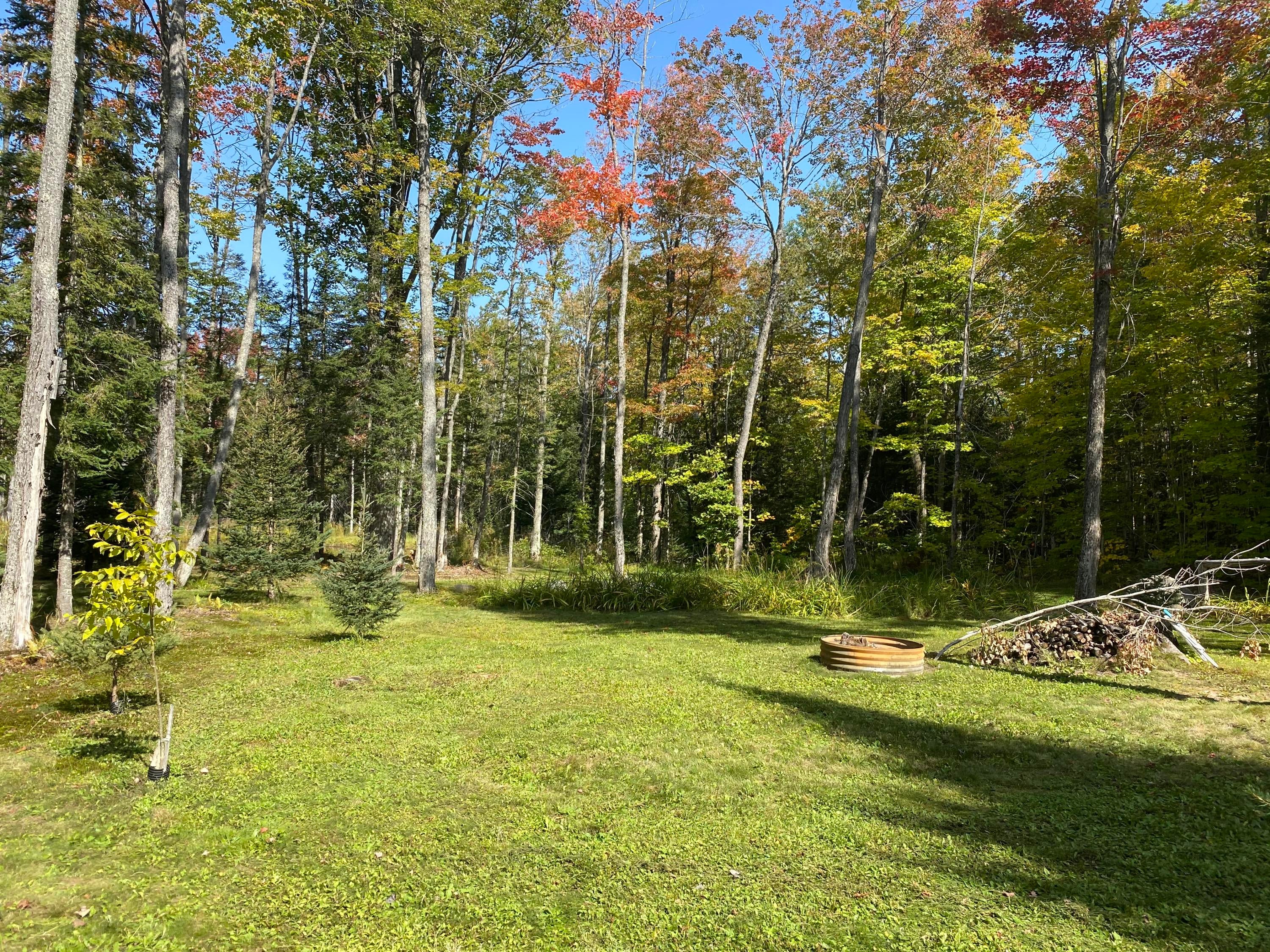244 West 13 Mile Road Dafter, MI 49724 - Photo 12 of 28 Gallery Image 12