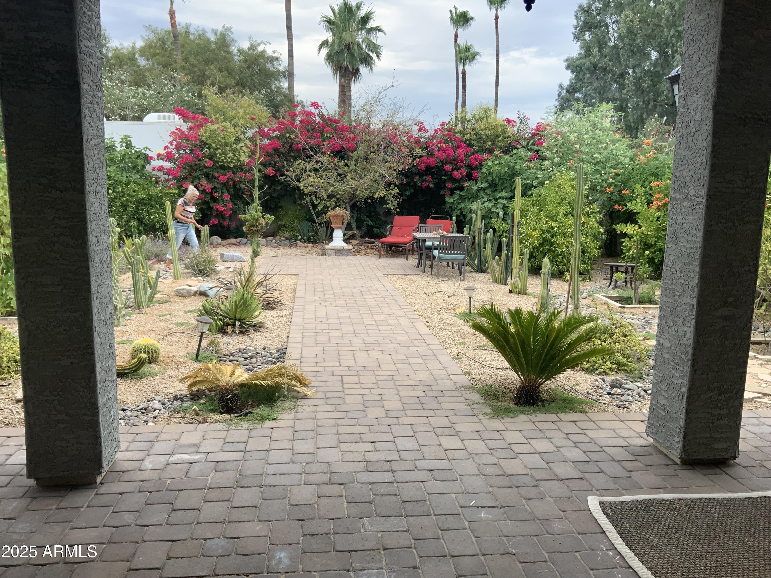 2114 East Aire Libre Avenue Phoenix, AZ 85022 - Photo 60 of 65 IMG_5979