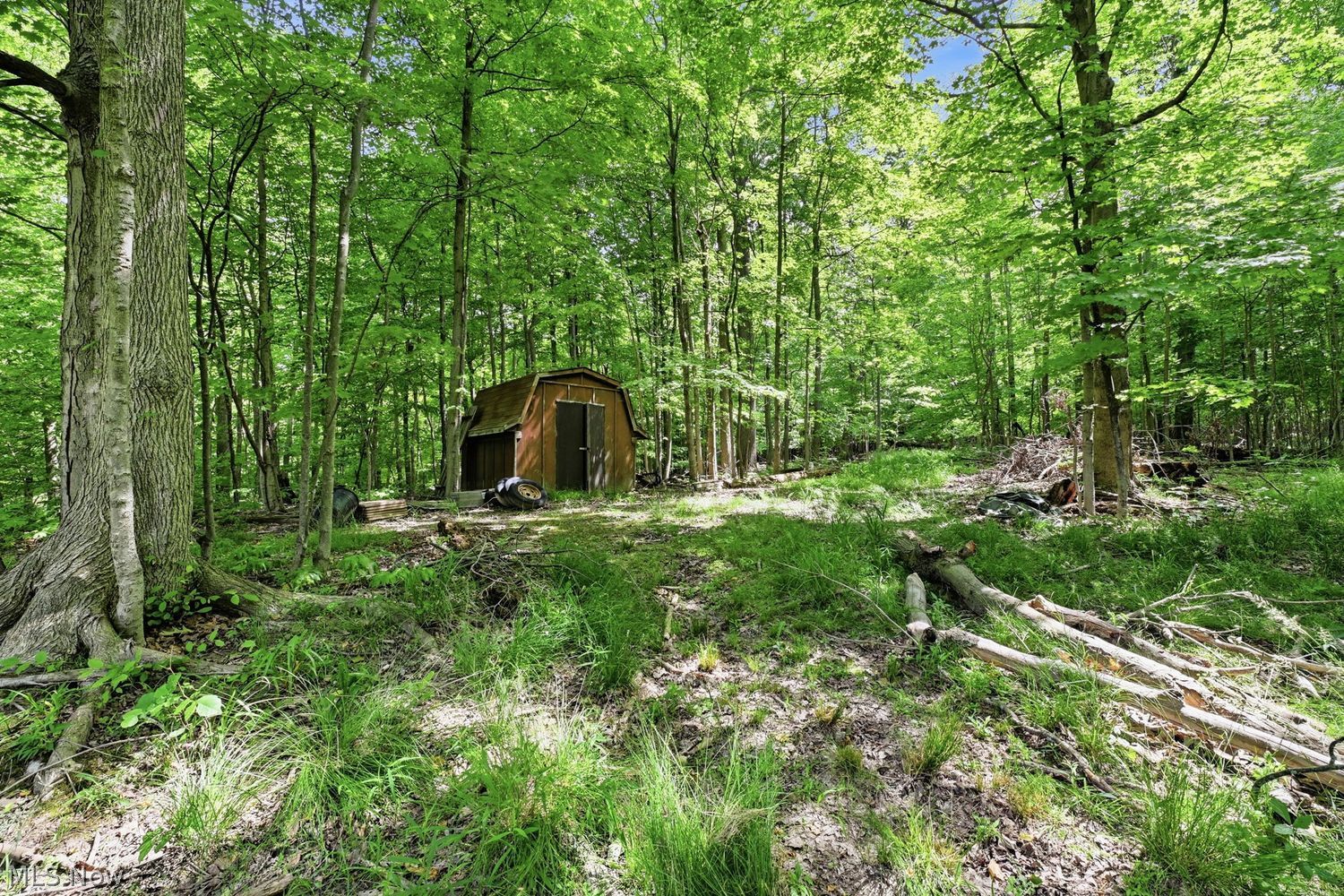1583 South Carpenter Road Brunswick, OH 44212 - Photo 41 of 46
