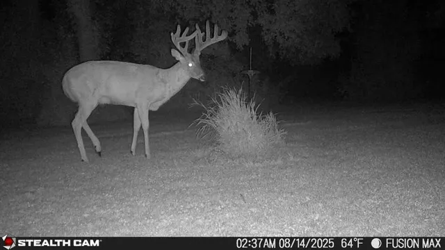 $249,900 | Tbd 630th Street, Claremont, MN 55924